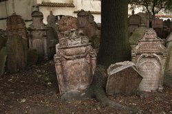 Graves in the Old Jewish Cemetery